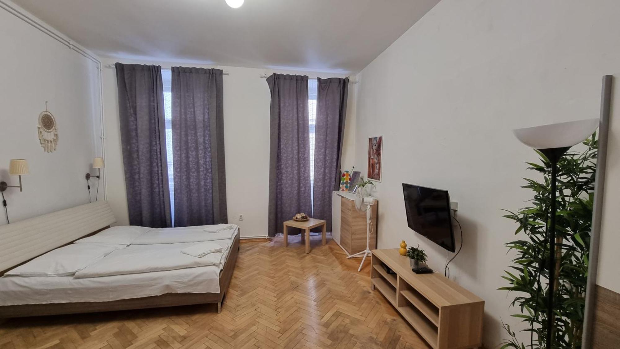 Apartment Krakovska 20 Praga Exterior foto